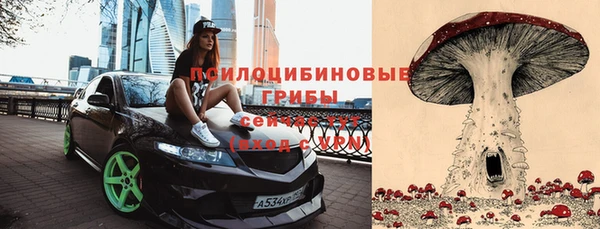 дурь Абинск