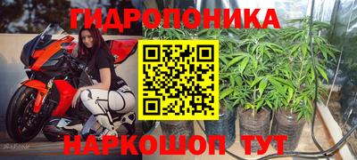 гашик Бугуруслан