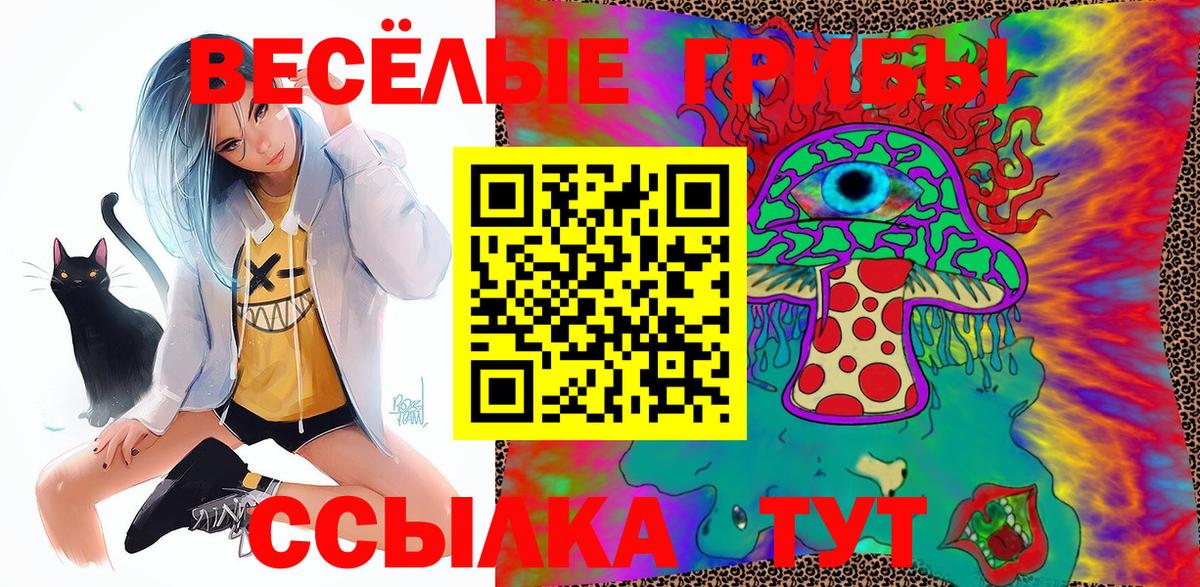 Псилоцибиновые грибы прущие грибы  Вход с VPN  Бийск 